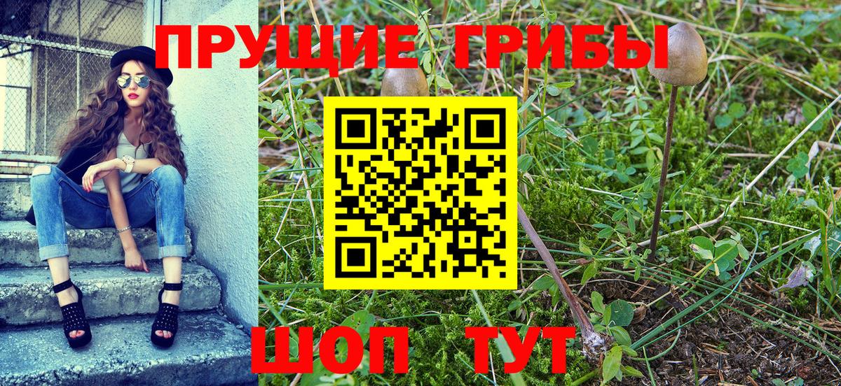 Псилоцибиновые грибы MAGIC MUSHROOMS  Вход с VPN  Псилоцибиновые грибы Magic Shrooms  Дзержинск 